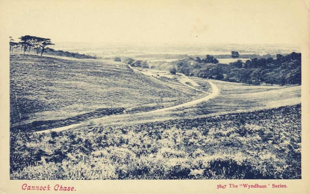 Cannock Chase in Staffordshire