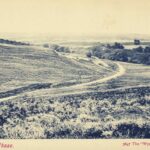 Cannock Chase, Staffordshire