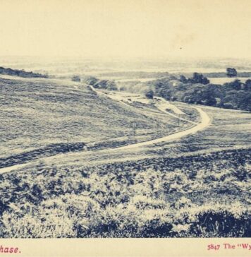 Cannock Chase, Staffordshire