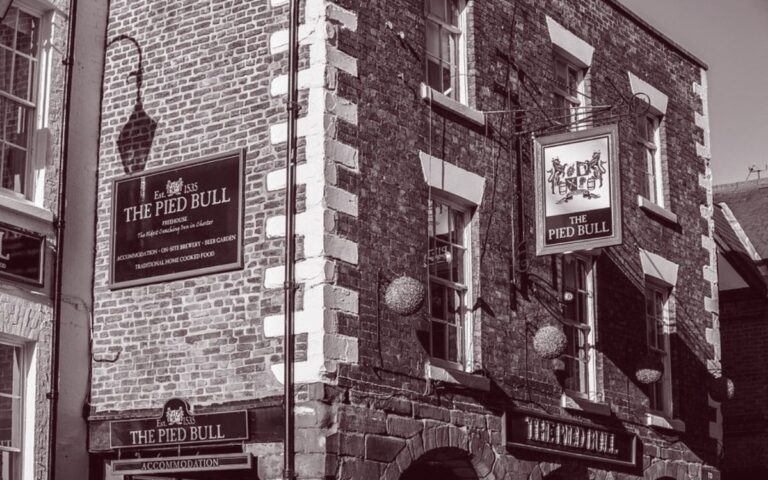 The Pied Bull