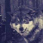 The Church Grim: Guide or Ghoul? 3