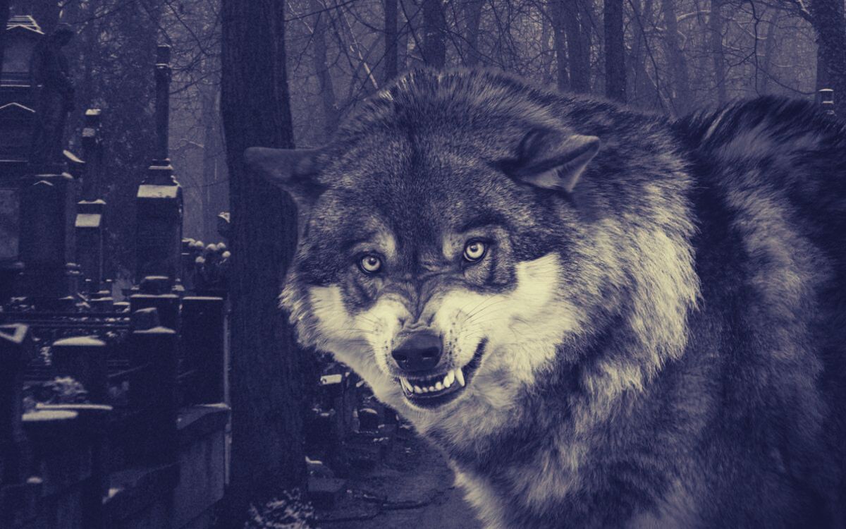 The Church Grim: Guide or Ghoul?