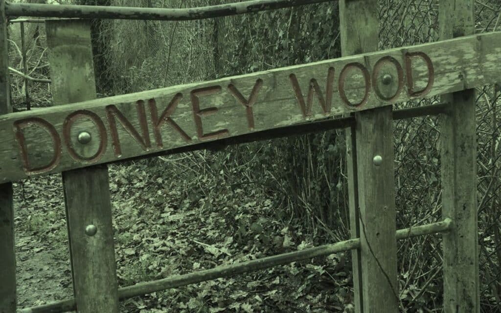 Donkey Wood