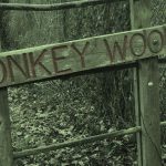 The Haunting of Donkey Wood, West London 1