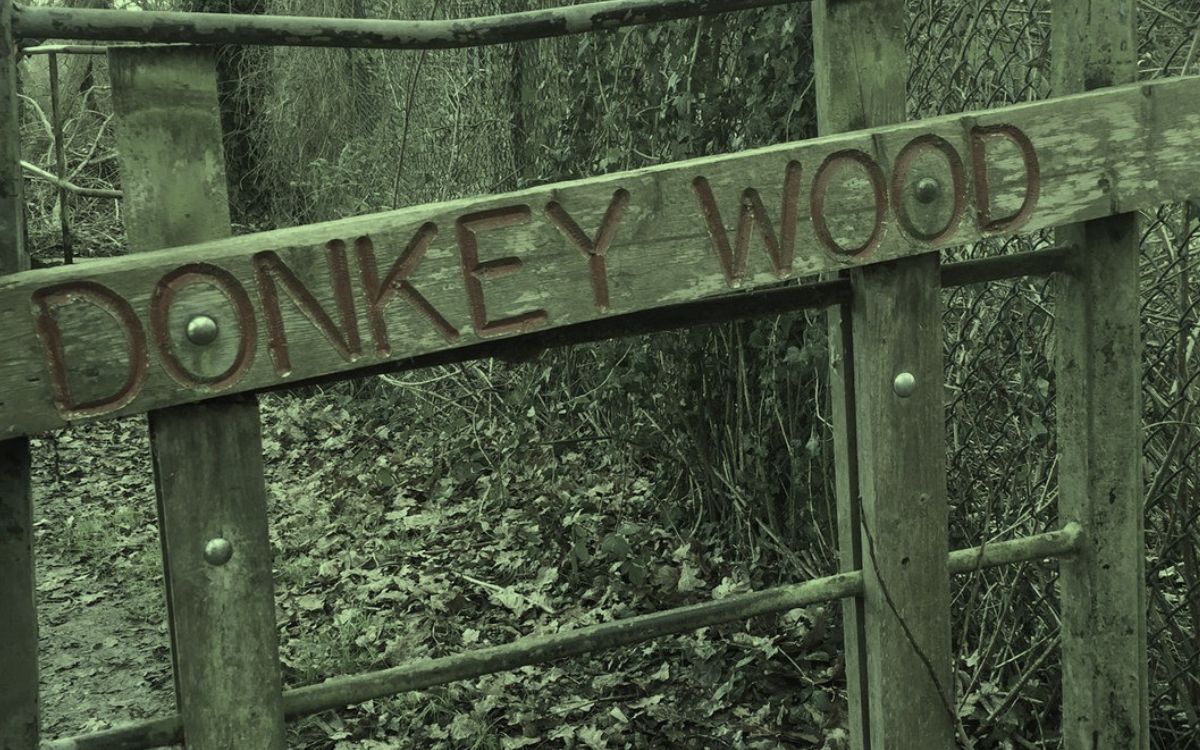 The Haunting of Donkey Wood, West London