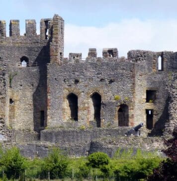 ANDREW HOMER looks for the truth behind the mysterious ghost that returns to Dudley Castle each Halloween...