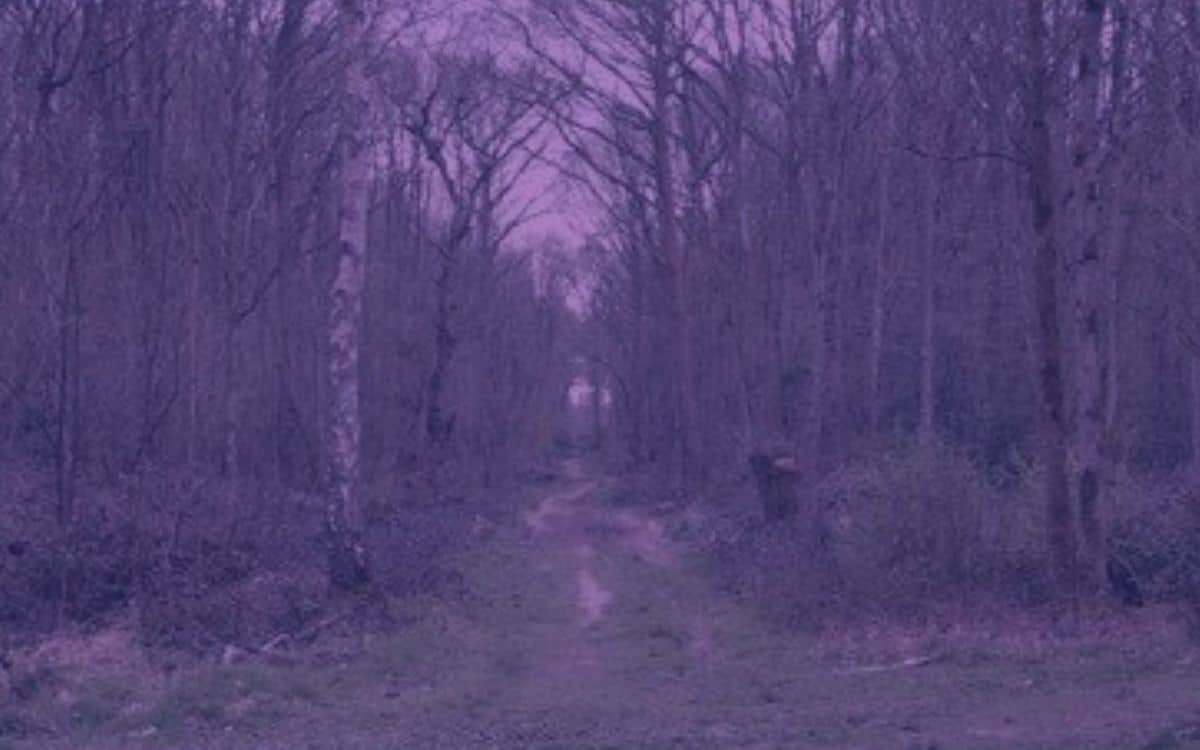 A Journey Into The ‘Screaming Woods’ of Pluckley