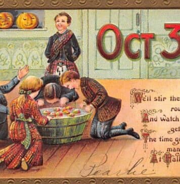 Halloween fun postcard