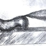 A portrait of Gef the Talking Mongoose