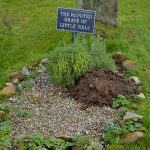 Shropshire's Spooky Tale of Two Nells 3