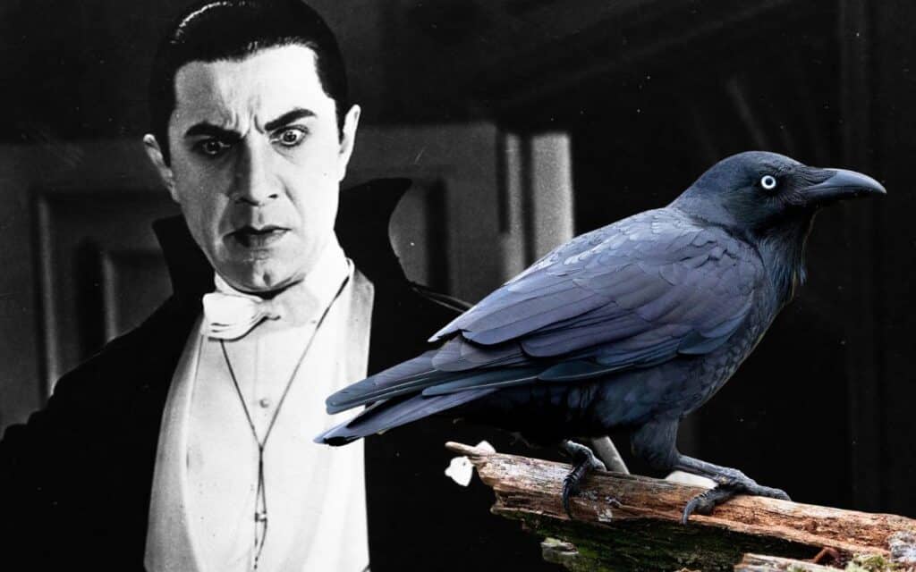 The Raven vs Dracula: A Comparison