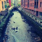 Manchester Canal