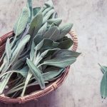 How to Use Sage in Magic 5 Sage