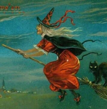 Witch on Broomstick - Witches Broom