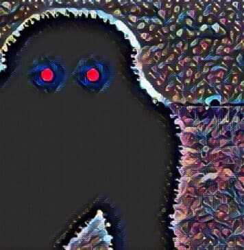 Shug Monkey