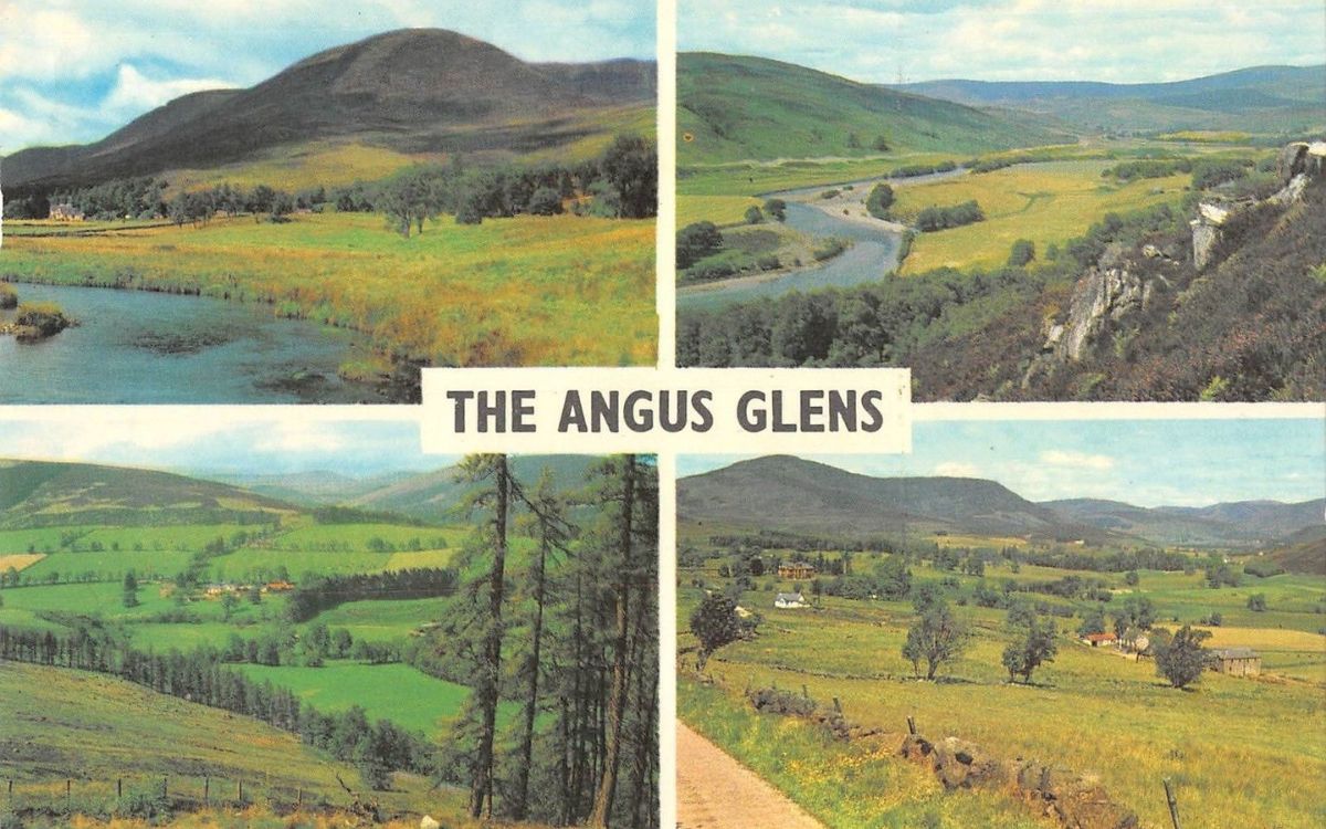 Angus Postcard