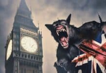 London has long held connections with lycanthropes, writes DAVID TURNBULL, as he chronicles the Werewolves of London.