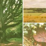 Haunted Clapham Wood