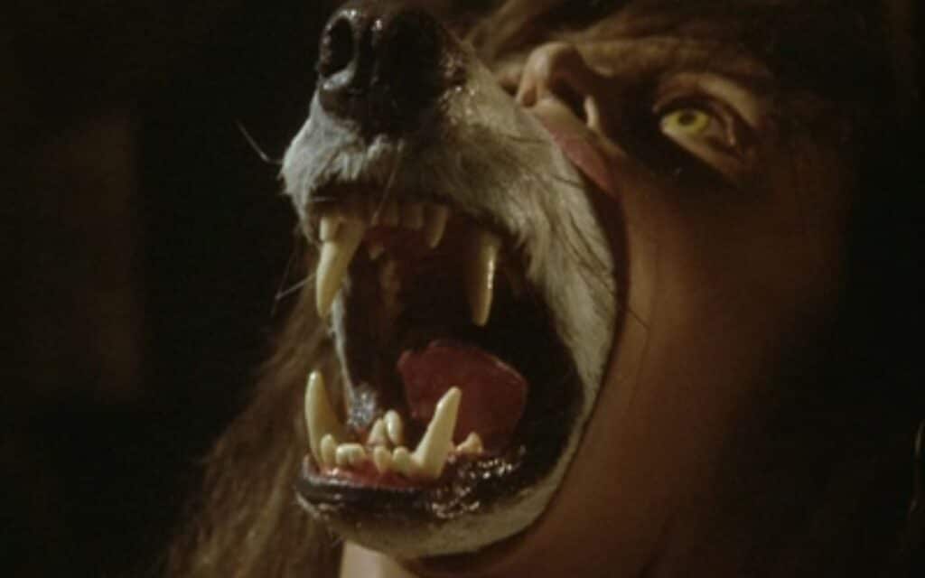 A scene from The Company of Wolves 1984.
