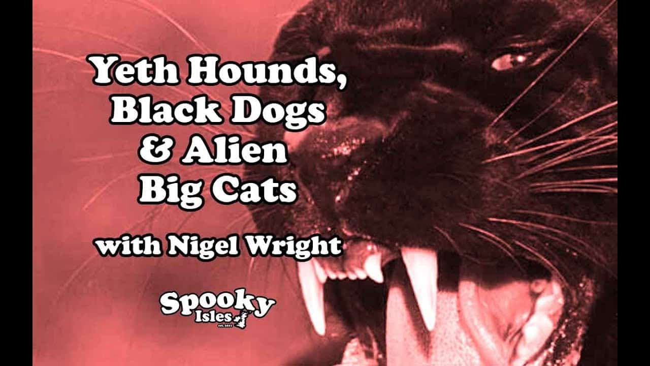 Yeth Hounds and Alien Big Cats VIDEO
