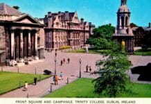 Trinity College Postcard