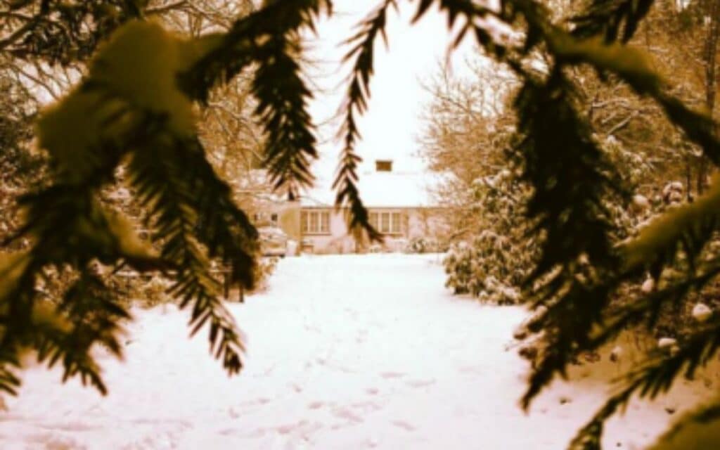 This photograph of the cottage was taken in the dead of winter from the bottom of the garden. When we were stood at the kitchen window, we would often sense someone down there, just  out of sight in the treeline and it was very unnerving. You never get used to that feeling. The  feeling of being watched. 
