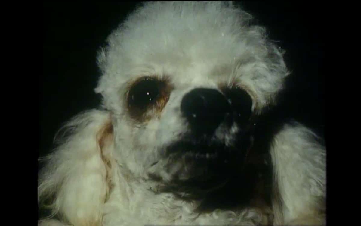 Armchair Thriller (S1, E6-10): A Dog’s Ransom REVIEW