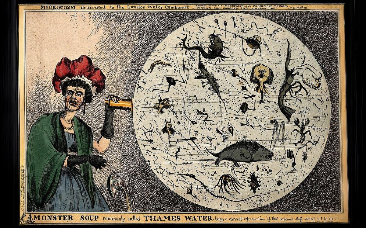 Thames River Monsters Lurk In the Heart of London