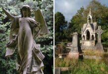 Image of Woodvale Cemetery in Brighton