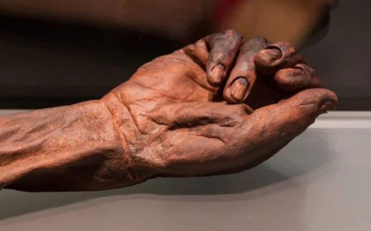 The Horrific Truth of Ireland’s Bog Bodies