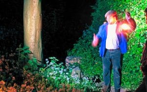 Tales from the Necropolis