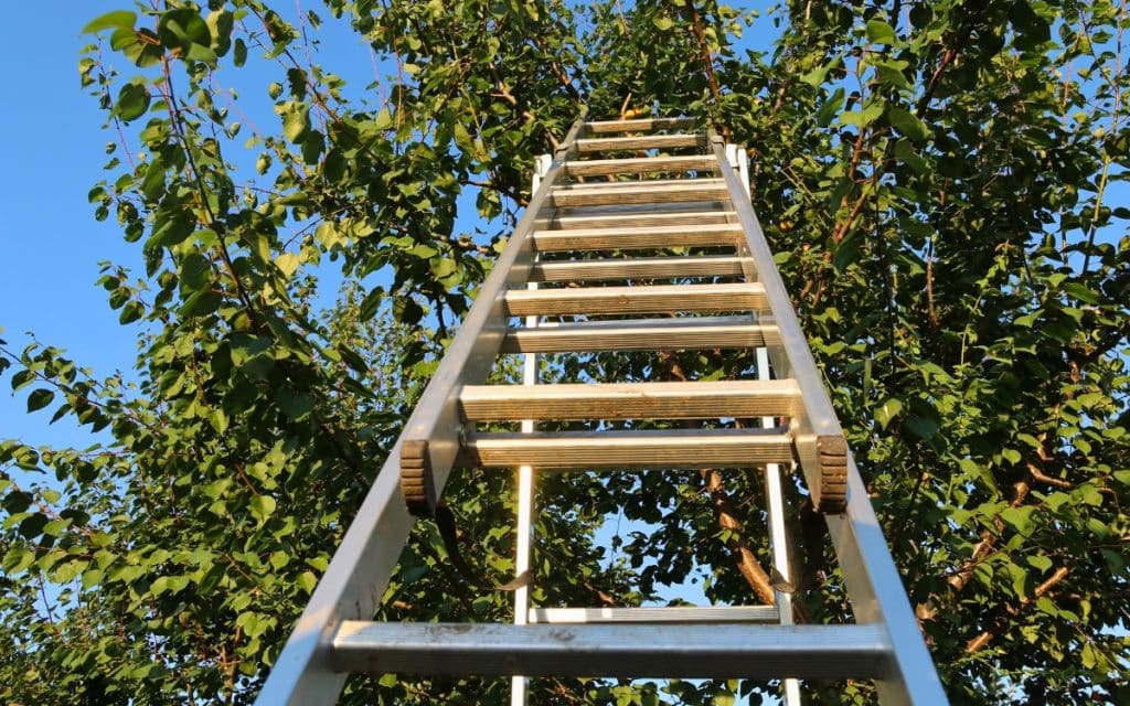 Why Do We Touch Wood? 10 Common Superstitions Explained 2 Walking under ladder superstition