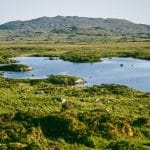 Roundstone Bog Connemara