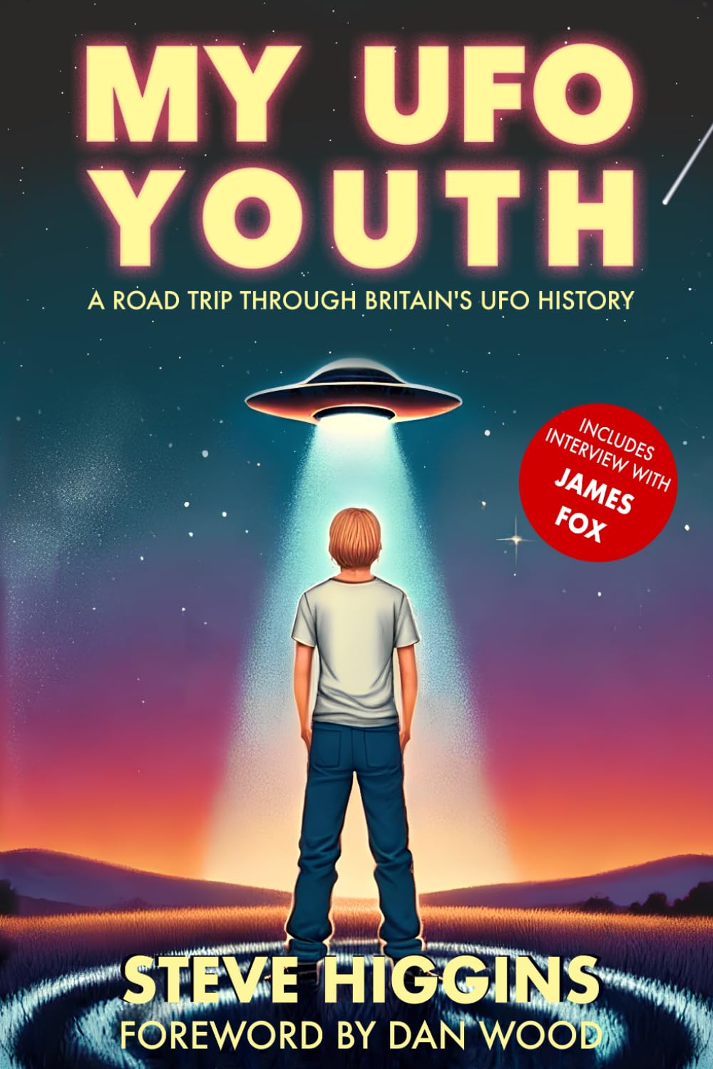 My UFO Youth book cover