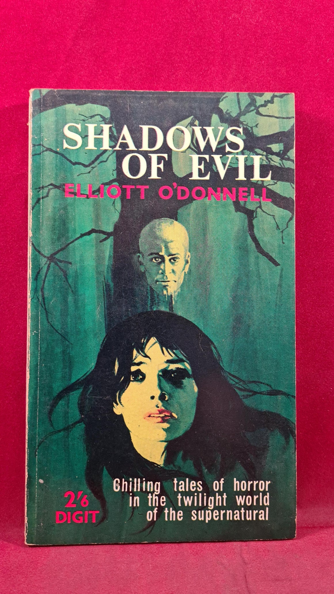 Shadows of Evil book cover