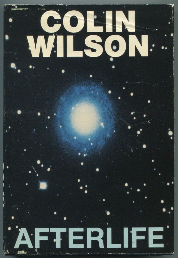 Afterlife: An Investigation of the Evidence for Life After Death book cover