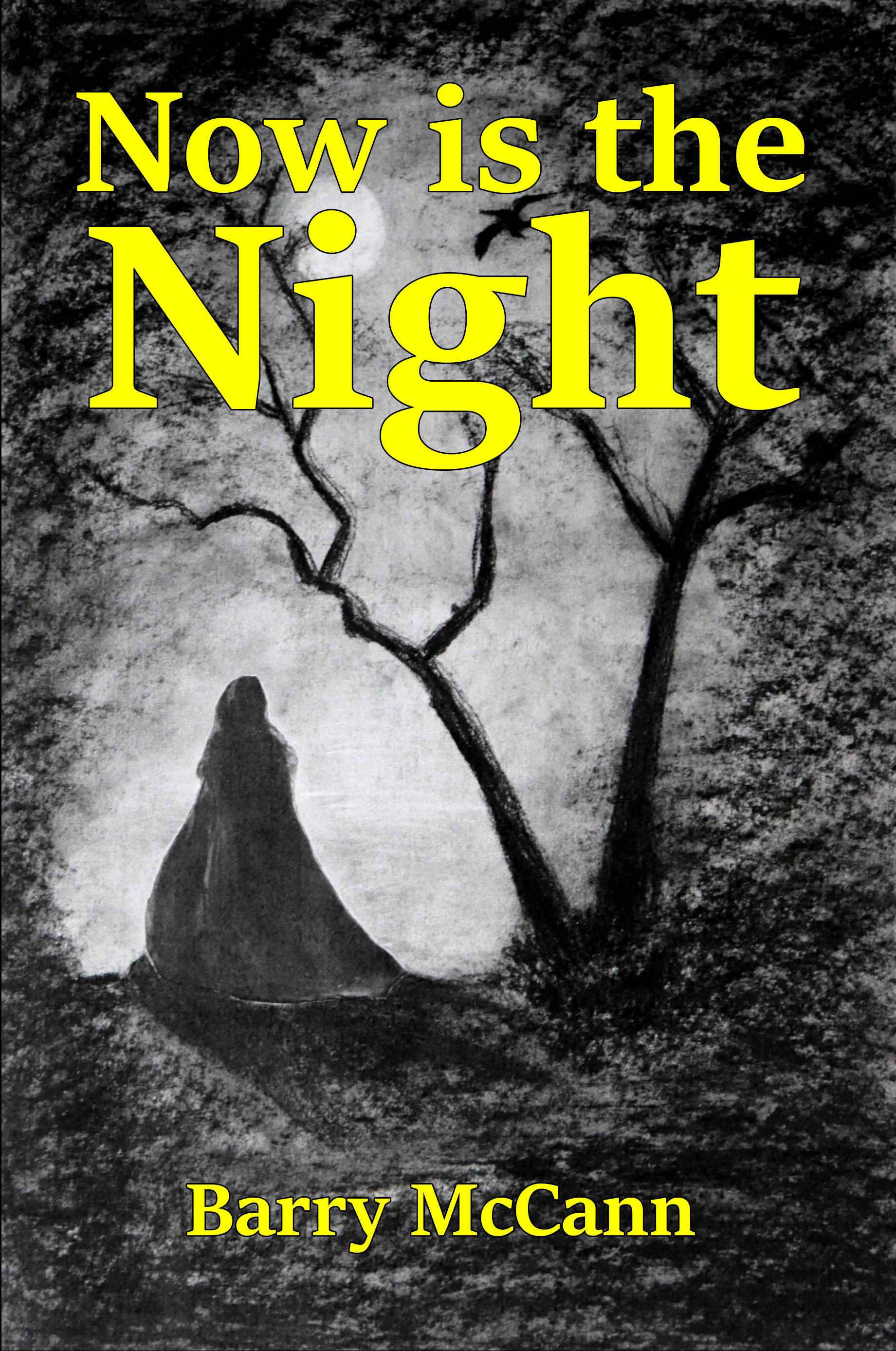 Now Is the Night book cover
